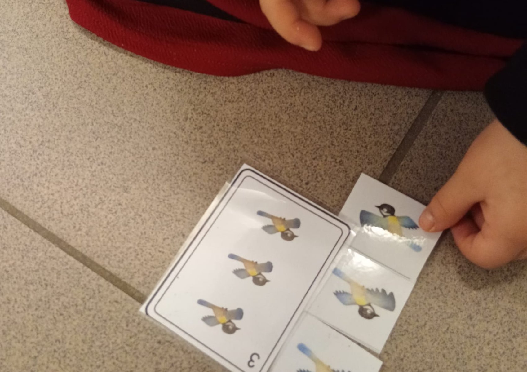 whatsapp image 2026-01-16 at 22.47.24 5